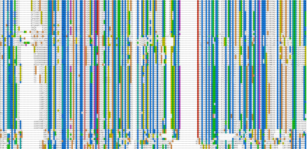 What is bioinformatics?